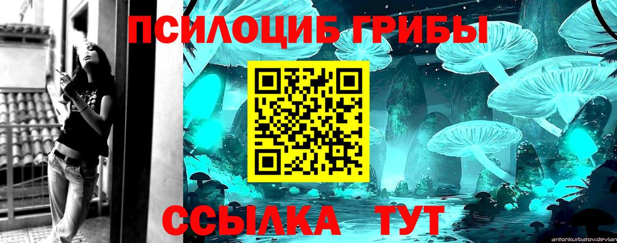 Псилоцибиновые грибы прущие грибы Видное