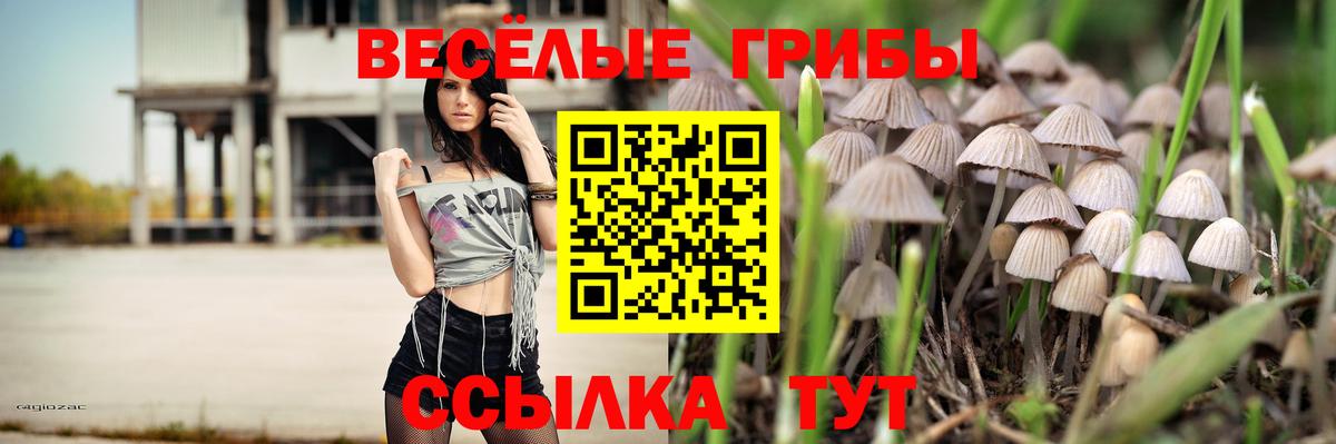 Псилоцибиновые грибы MAGIC MUSHROOMS  Псилоцибиновые грибы MAGIC MUSHROOMS  Видное  Вход с VPN 